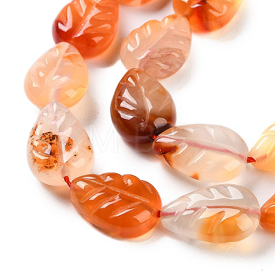 Natural Agate Carved Beads Strands G-H024-B01-01-1