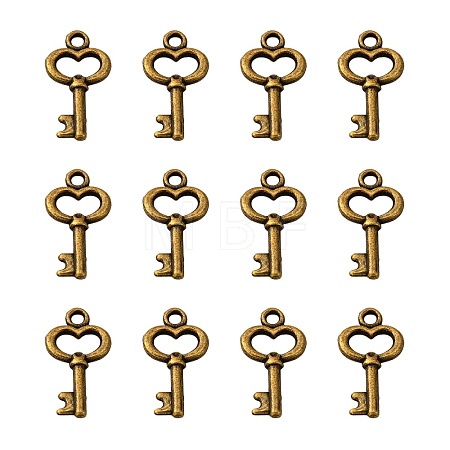 Gifts Ideas for Her Tibetan Style Alloy Charms LS-MLF11975Y-NF-1