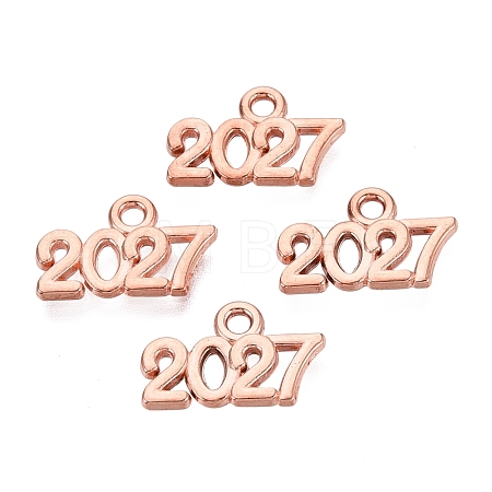 New Year's Day Alloy Charms FIND-N014-01RG-1