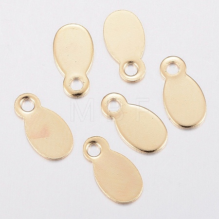 201 Stainless Steel Charms STAS-H436-52-1