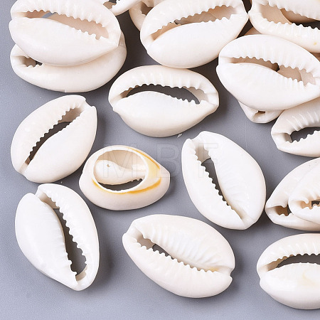 Natural Cowrie Shell Beads X-SSHEL-N034-34-1