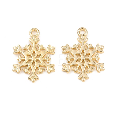 Alloy Pendants FIND-B059-05G-01-1