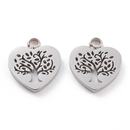 Non-Tarnish 304 Stainless Steel Charms LS-STAS-Y002-05P-1
