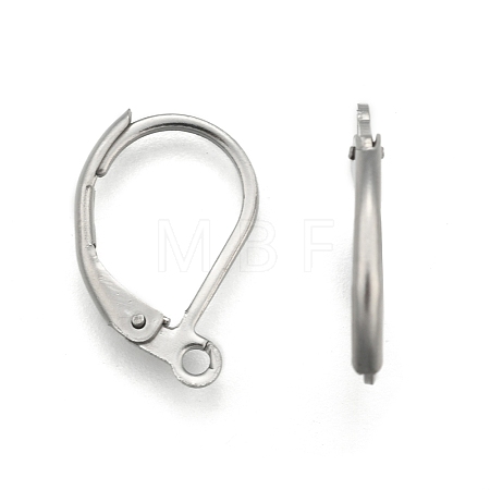 Tarnish Resistant 304 Stainless Steel Leverback Earring Findings STAS-E007-3-1