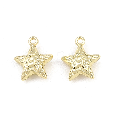 Alloy Charms AL-CBA15FB-11G-1
