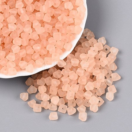 FGB Frosted Transparent Glass Seed Beads SEED-N013-03A-03-1