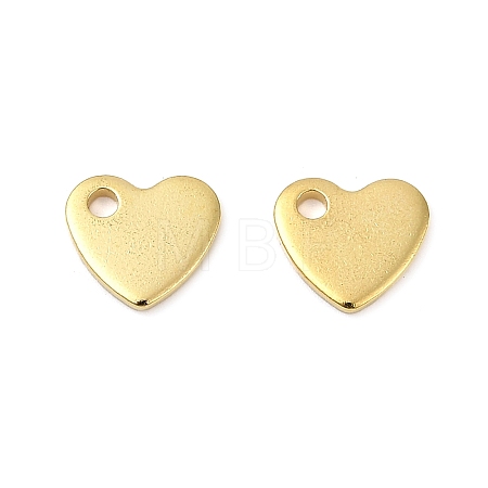 304 Stainless Steel Charms X-STAS-Q112-G-1