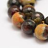 Faceted Natural Fire Crackle Agate Beads Strands G-F447-10mm-A09-3