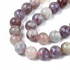 Natural Purple Red Tourmaline  Beads Strands G-N327-02B-01-4