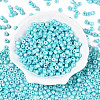 Baking Paint Pearlized Glass Seed Beads SEED-T008-03Q-2