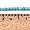 Dyed Natural Magnesite Beads Strands G-A323-A01-4mm-5