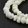 Natural Trochus Shell Beads Strands BSHE-G039-01B-3