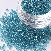 12/0 Glass Seed Beads X2-SEED-A005-2mm-23-1