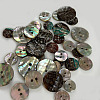 Abalone Shell/Paua Shell X-BSHE-I011-04A-5