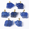 Natural Agate Pendants G-R459-003C-2