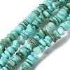 Natural Freshwater Shell Beads SHEL-B003-01B-1