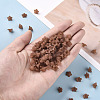 Transparent Acrylic Beads PL554-15-6