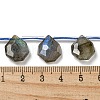 Natural Labradorite Beads Strands G-P544-C03-01-4