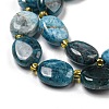 Natural Apatite Beads Strands G-H005-A03-03-4