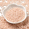Glass Frosted Seed Beads SEED-K009-05B-07-2