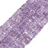 Natural Amethyst Beads Strands G-Z152-F05-02A-2