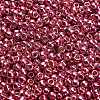 TOHO 6/0 Round Beads X-SEED-TR06-PF0553-4