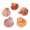 Electroplate Multicolor Sea Shell Pendants SSHEL-S262-31-1