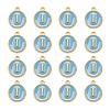Golden Plated Alloy Enamel Charms ENAM-S118-04I-2