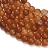 Natural Carnelian Beads Strands G-L642-G01-8mm-5