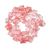 Cherry Quartz Glass Beads Strands G-K359-E16-5