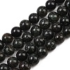Natural Seraphinite Beads Strands G-H337-A03-04-2