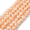 Natural Cultured Freshwater Pearl Beads Strands PEAR-P064-19K-01A-2