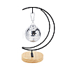 Iron with Wood Display Stands ODIS-WH0080-28A-6