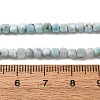 Natural Larimar Beads Strands G-F803-C01-02-5