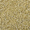 MIYUKI Delica Beads SEED-X0054-DB1212-3