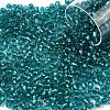10G Glass Seed Beads SEED-YW0003-11J-1