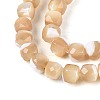 Natural Trochid Shell/Trochus Shell Beads Strands BSHE-T014-53-3