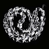 Transparency Glass Beads Strands GLAA-T023-15-2