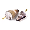 Brass & Natural Cone Shell Pendants SHEL-Q029-20-01KCG-2