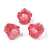 Transparent Acrylic Beads X-TACR-N006-75B-1