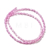 Natural Trochus Shell Beads Strands X-SHEL-K006-19A-2