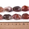 Natural Red Botswana Agate Beads Strands G-N362-07A-06-5