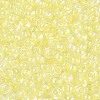 FGB Inside Colours Transparent Glass Seed Beads SEED-T009-01I-2