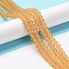 Transparent Glass Beads Strands LS-EGLA-A034-T3mm-MD23-2