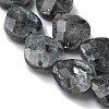 Natural Larvikite Beads Strands G-A309-A18-01-3