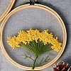 DIY Transparent Fabric Embroidery Kits DIY-K032-79C-1