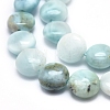 Natural Larimar Beads Strands G-F675-08-3