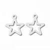 Spray Painted 201 Stainless Steel Charms STAS-I672-14B-2