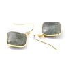 Natural Labradorite Dangle Earrings EJEW-J093-03-2