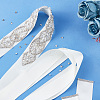 Fingerinspire Crystal Rhinestone Wedding Dress Belt DIY-FG0002-48-6